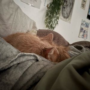 Meet your Posher, Taylor